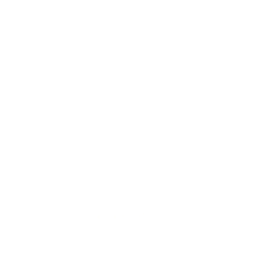 Catarinense 2