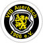 VfB Auerbach