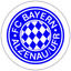 FC Bayern Alzenau
