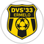 DVS '33 Ermelo