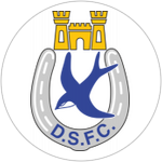 Dungannon Swifts