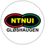 NTNUI