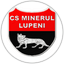 Minerul Lupeni