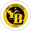 BSC Young Boys