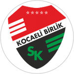 Kocaeli Birlikspor