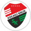 Kocaeli Birlikspor