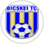 Bicskei