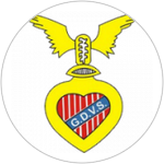 GD Vitória de Sernache
