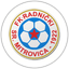 Radnički Sr. Mitrovica