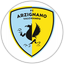 FC Arzignano Valchiampo
