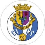 Clube de Futebol Carregal do Sal