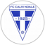 FC Calvi Noale