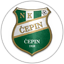Čepin