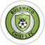 Bulawayo Chiefs