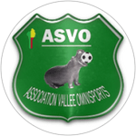 ASVO