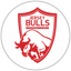 Jersey Bulls
