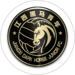 Jiangxi Dark Horse