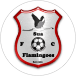 Sua Flamingoes
