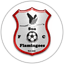Sua Flamingoes
