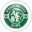 Afrique Football Élite