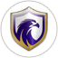 Falcon U20