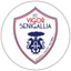 Vigor Senigallia