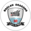 Baglan Dragons