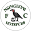 Nsingizini Hotspurs
