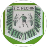 Nechin