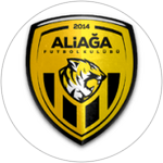 Aliaga