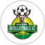 Soccer Intellectuals