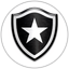 Botafogo U20