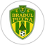 Bradul Putna