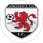 Bankstown City Lions