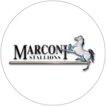 Marconi Stallions