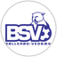BSV
