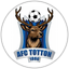 AFC Totton