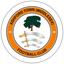 Ashford Town (Middlesex)