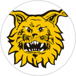 Ilves